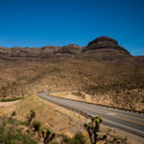 Which countries share the longest land border?