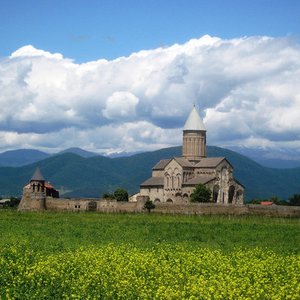 bg