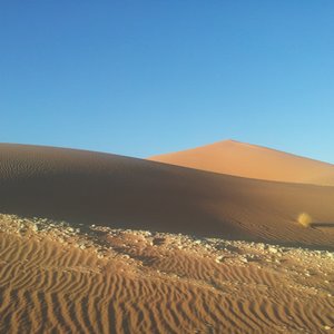 bg