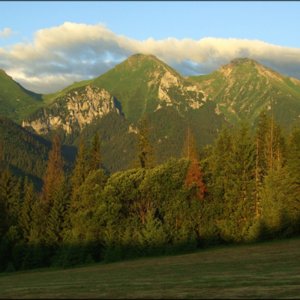 bg