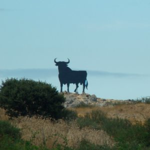 bg