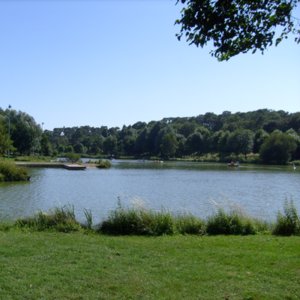bg