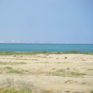 bg