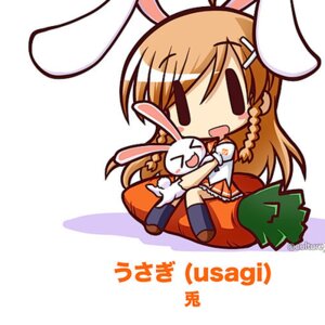 bg